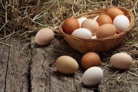 Argentinian citizen went to buy a "carton of eggs" and when he asked the seller the price, he found that the price was higher than the usual one, so he asked the seller why!?He replied that the distributors raised the price!The citizen silently took the "egg box" and put it back saying:I don't need eggs, I can live without eggs.That's what all the citizens did without campaigns and strikes, but that was the culture of the people!The people did not accept the companies to blackmail them.In less than a week, the company's employees came to deliver eggs to the stores, but the owners refused to collect them because no one bought the stock of old eggs!The companies, however, remained stubborn and did not correct the price, believing that the protests would end in a few days and that people would return to their regular egg purchases.But people also became stubborn, they boycotted eggs and the companies started to lose enormously!Stocks piled up because production couldn't stop!The owners of the animal companies got together and decided to return the price of eggs to the previous price!However, the boycott continues, the companies almost declared bankruptcy, so they met again and decided to send an official apology to the Argentinian people from all media and fixing the price at a quarter of their previous value.This is a true story, not the fruit of fiction.We as a people can lower or raise the price of any good.Only with our will, without campaigns and strikes.All we need is a little will, culture and determination.source: Facebook